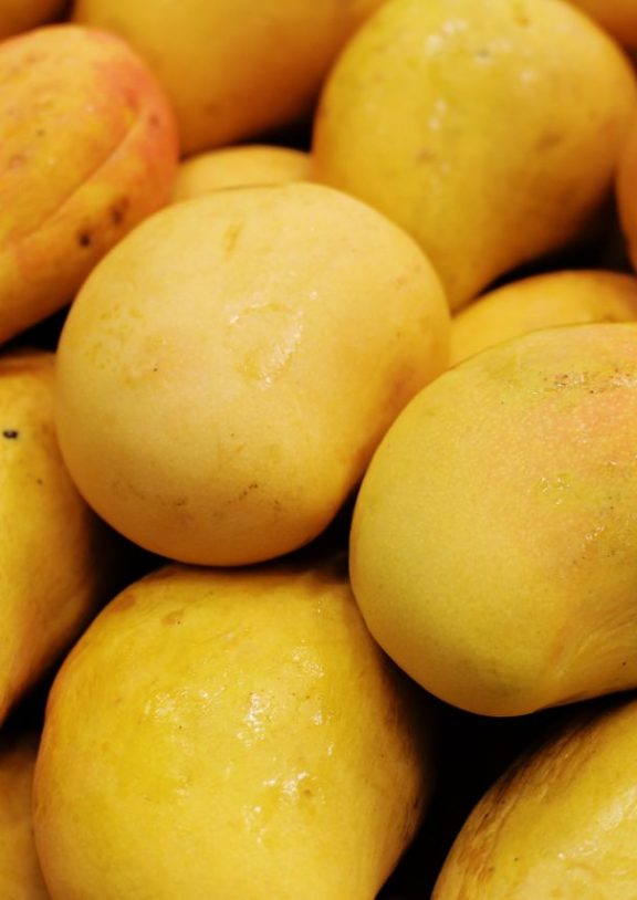 Fresh Mangoes