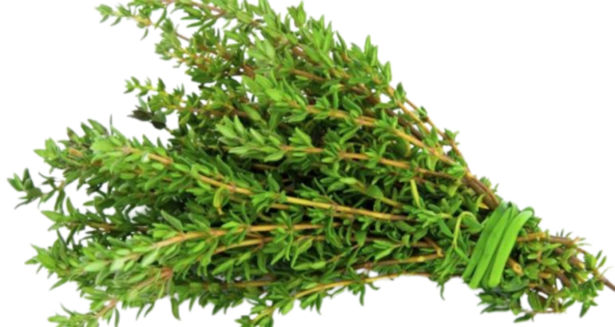 Fresh Thyme